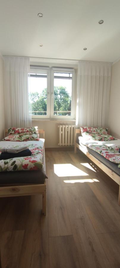 Appartement Apartament Na Chramcowkach à Zakopane Extérieur photo